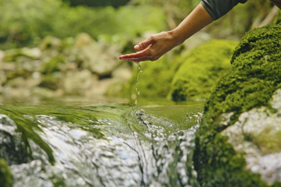 Eine Hand schöpft Wasser aus einem klaren Bach.