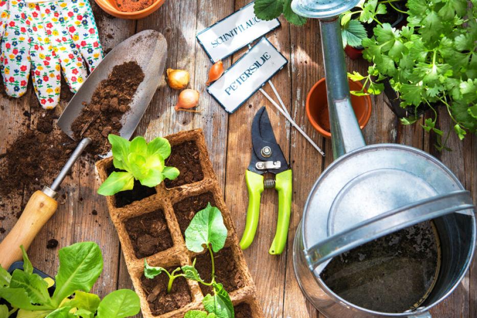Gartengeräte, Töpfe, Setzlinge und Kräuter auf einem Holztisch für die Aussaat und Pflege im Garten.