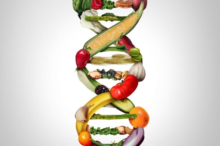 Wie der Mensch Nährstoffe verstoffwechselt, ist in den Genen festgelegt.