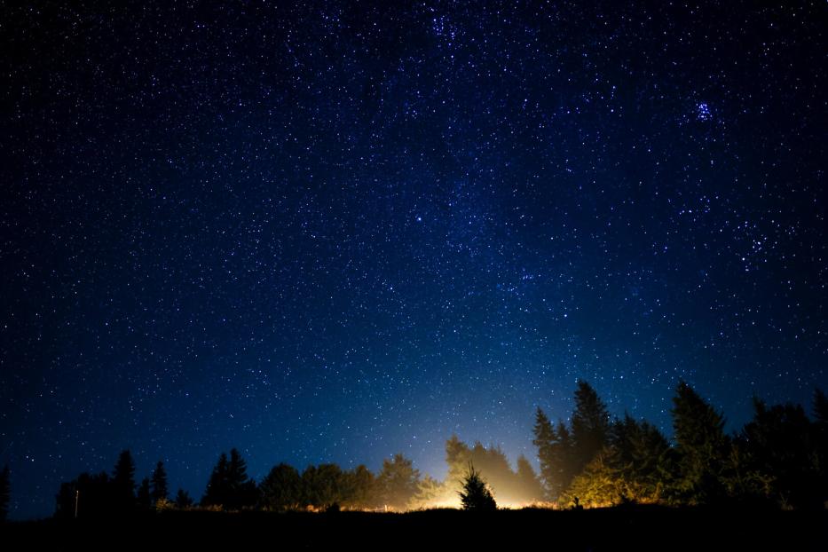 Sternenreicher Nachthimmel über dunklem Wald, am Horizont leuchtet warmes Licht.