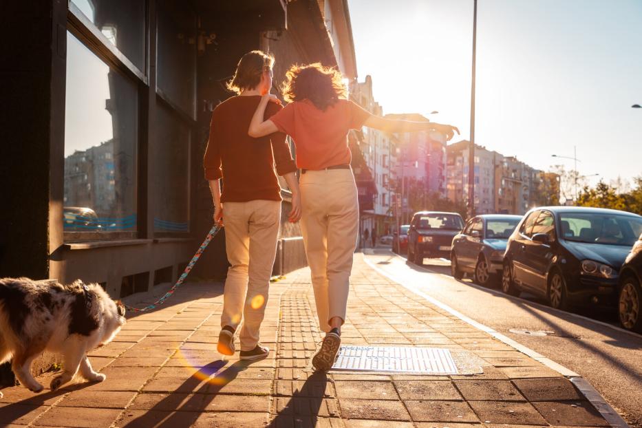 Back view of couple man and woman is walking around city with their dog. Sunset light in background