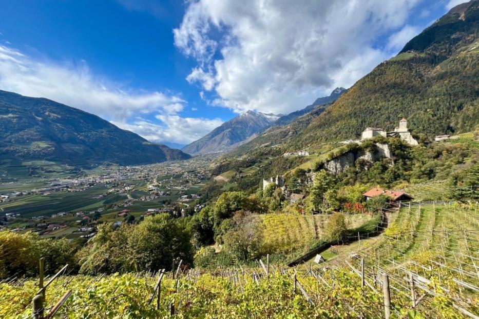 Blick über das Etschtal in Südtirol mit Weinbergen im Vordergrund und der Burgruine Schloss Lebenberg auf einem bewaldeten Hügel.