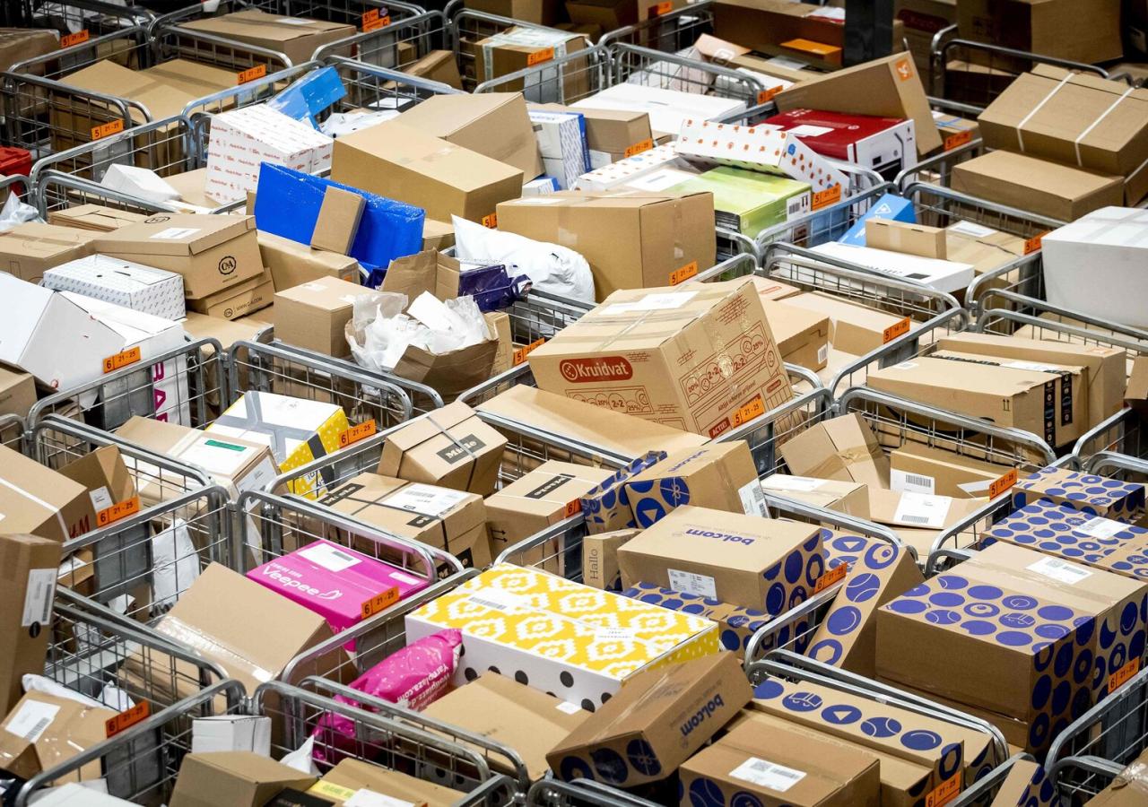 Hält die Paketsteuer vor der EU? Spitzenjurist hat große Zweifel