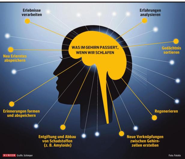 Unglaubliche Gehirnleistung: Im Schlaf Aufgaben lösen