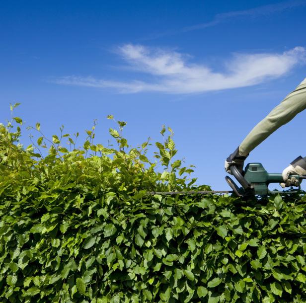 Für mehr Privatsphäre im Garten, auf dem Balkon und der Terrasse