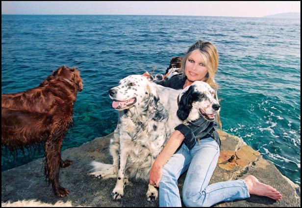 Brigitte Bardot sitzt barfuß mit drei Hunden an einem felsigen Küstenabschnitt.
