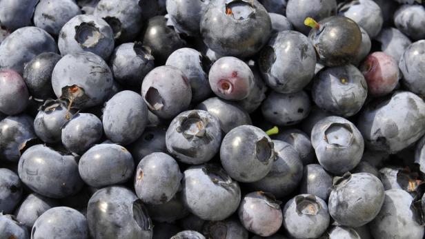 Hoher Blutdruck: Tägliche Portion Heidelbeeren hilft