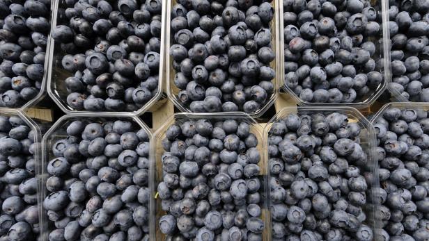 Hoher Blutdruck: Tägliche Portion Heidelbeeren hilft