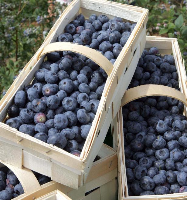 Hoher Blutdruck: Tägliche Portion Heidelbeeren hilft