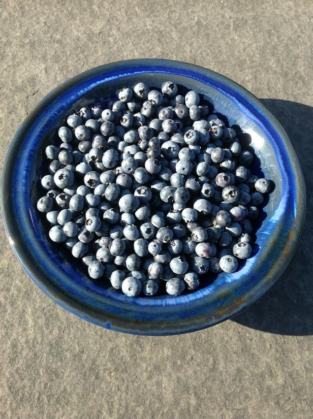 Hoher Blutdruck: Tägliche Portion Heidelbeeren hilft