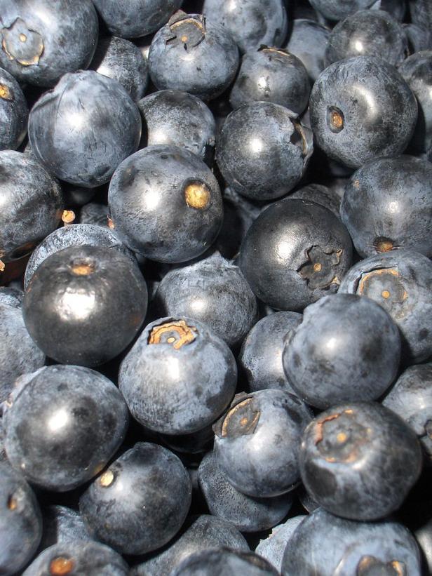 Hoher Blutdruck: Tägliche Portion Heidelbeeren hilft