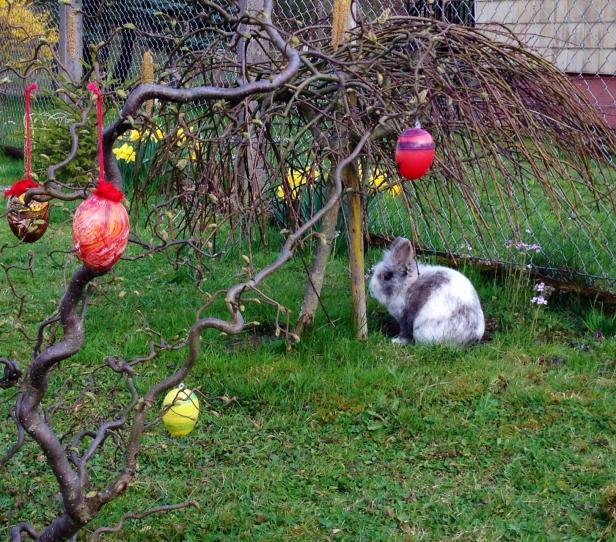 Last-Minute Tipps für die Osterdeko