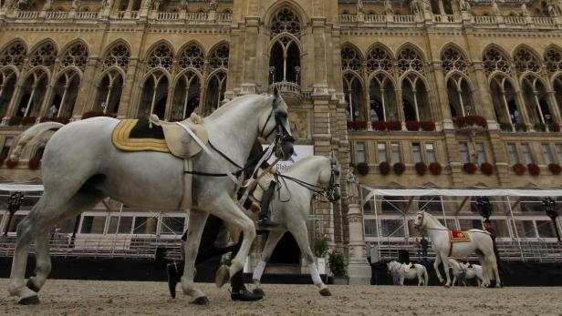Promiauflauf: Auf dem Rathausplatz dreht sich bis kommenden Sonntag alles um Pferde und ihre Reiter.