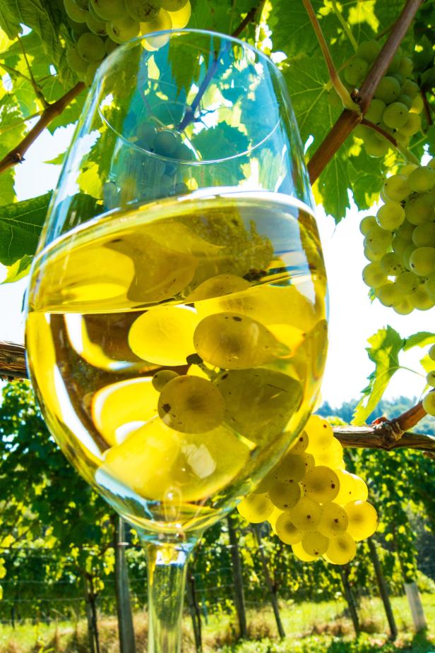 Ein Glas Weißwein steht zwischen grünen Weintrauben.