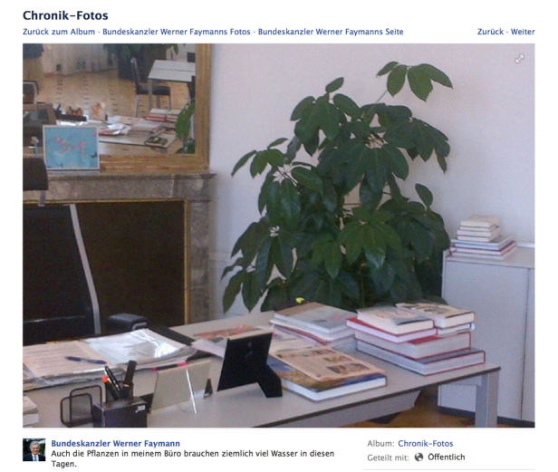 Ein Schreibtisch mit Büchern, einer Pflanze und einem Spiegel in einem Büro.