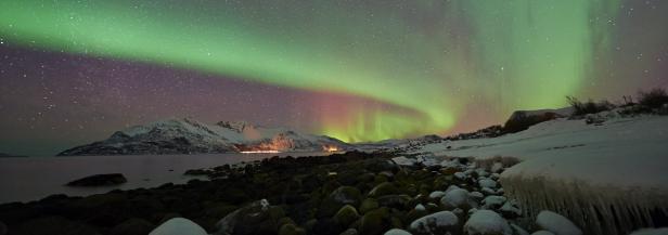 Über einer verschneiten Landschaft erstrahlt das grüne und violette Polarlicht.