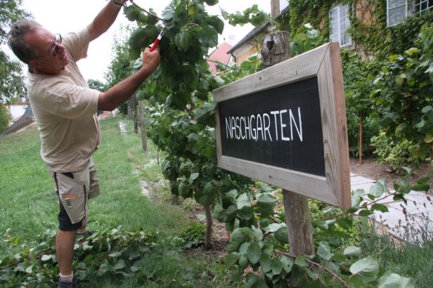 Garten-Pflege im Sommer