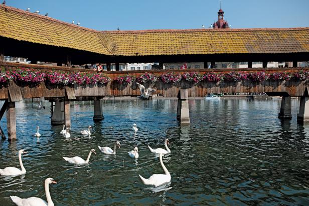 Luzern: Die Wohlhabende am Vierwaldstättersee