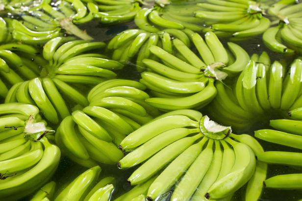 Wer vom fairen Bananen-Handel profitiert
