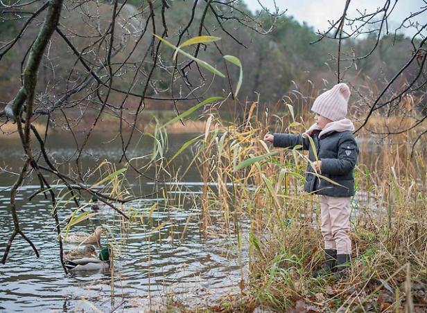 Ein kleines Mädchen füttert Enten am Ufer eines Sees.