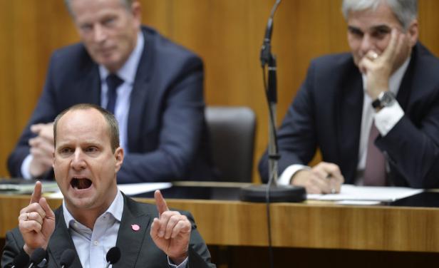 NATIONALRAT: FAYMANN / MITTERLEHNER / STROLZ Dreitägiger Budget-Marathon startet emotional