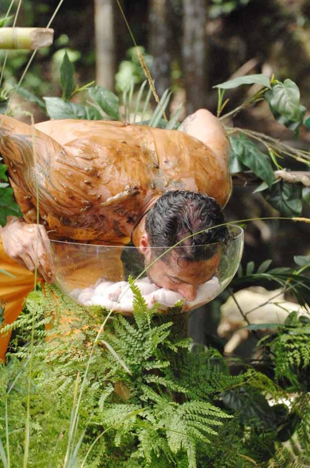 Dschungelcamp: Popo besiegt Brille