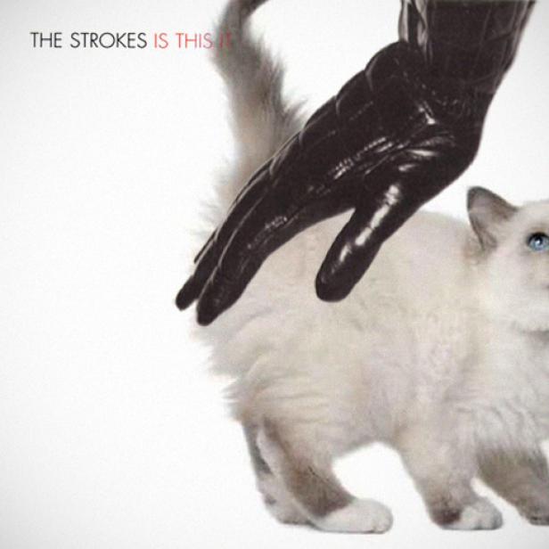 Das Cover des Albums „Is This It“ von The Strokes zeigt eine Hand mit Lederhandschuh, die eine Katze berührt.