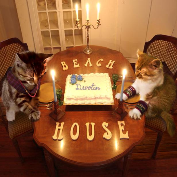 Zwei Katzen sitzen an einem Tisch mit Kerzen, einem Kuchen mit der Aufschrift „Devotion“ und den Worten „Beach House“.