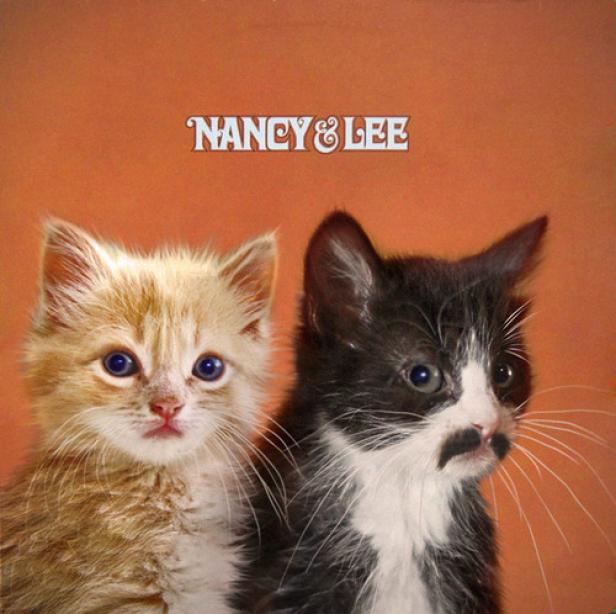 Zwei Kätzchen, ein hellbraunes und ein schwarz-weißes, vor einem orangefarbenen Hintergrund.