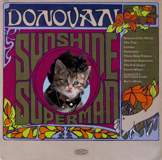 Ein Kätzchen mit einer Perücke und einem Kostüm auf dem Cover von Donovan's „Sunshine Superman“.