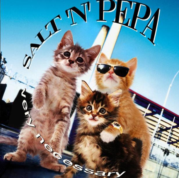 Drei Kätzchen posieren vor einem Hintergrund, der an das Album „Very Necessary“ von Salt 'n' Pepa erinnert.