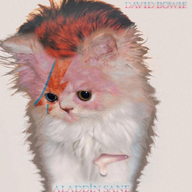 Ein Katzen-Mischling im Stil des „Aladdin Sane“-Covers von David Bowie.