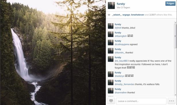 Ein Wasserfall stürzt in einem dichten Wald in die Tiefe.