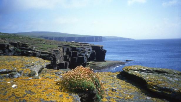 Blick auf die schroffe Küste von Orkney, Schottland.
