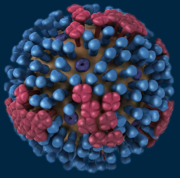 Eine Illustration eines Virus mit blauen und roten Proteinen auf seiner Oberfläche.