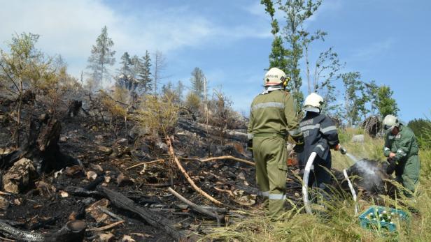 Feuerwehrleute löschen einen Waldbrand mit Wasser.
