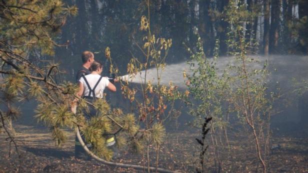 Zwei Feuerwehrleute löschen einen Waldbrand mit einem Wasserstrahl.