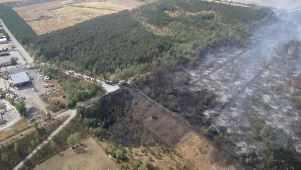 Ein Waldbrand, bei dem Feuerwehrleute versuchen, die Flammen einzudämmen.