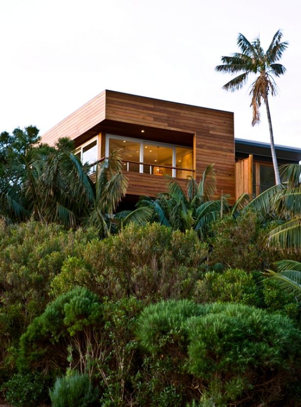Ein modernes Holzhaus steht inmitten üppiger Vegetation mit einer hohen Palme im Hintergrund.