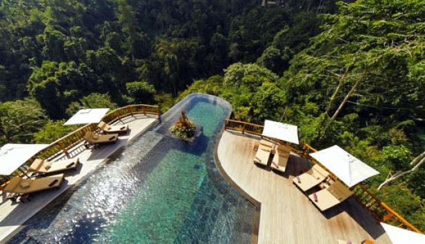 Ein Infinity-Pool mit Liegestühlen und Sonnenschirmen überblickt einen üppigen grünen Dschungel.