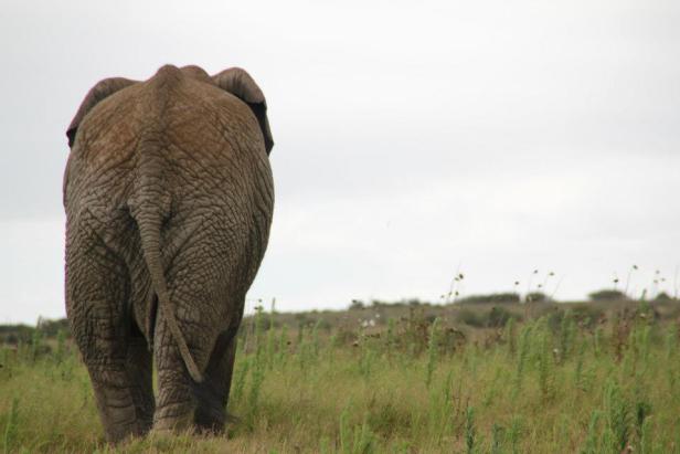 Südafrika: Ein Land voller Gegensätze