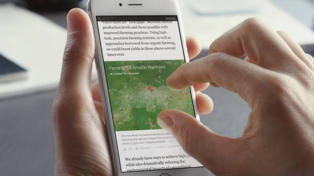 Eine Person interagiert auf einem Smartphone mit einem Artikel über Landwirtschaft im Amazonas-Regenwald.