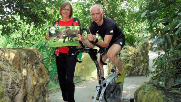 Giftige Tiere begleiten Läufer