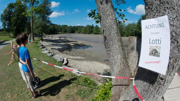 Zwei Jungen stehen an einem abgesperrten Ufer, an einem Baum hängt ein Schild mit der Aufschrift „Achtung, hier wohnt Lotti! Vorsicht bissig!!“.