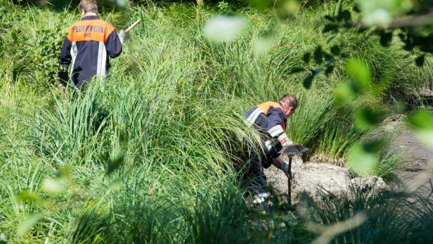 Zwei Feuerwehrleute arbeiten mit Werkzeugen im hohen Gras.