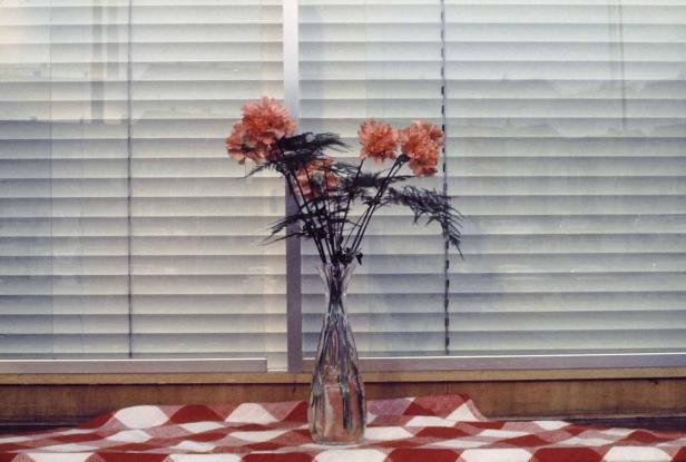 Ein Blumenstrauß mit rosa Nelken steht in einer Vase auf einer rot-weiß karierten Tischdecke.