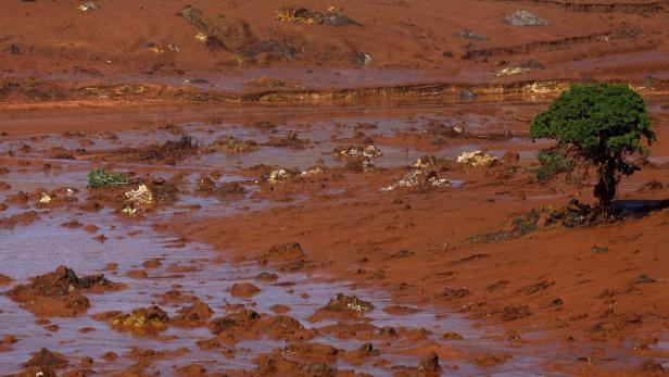 Eine rote Schlammlandschaft mit einem einzelnen grünen Baum am Rande.