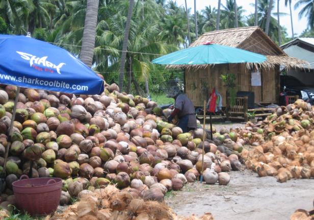 "Die schönste Insel Thailands"