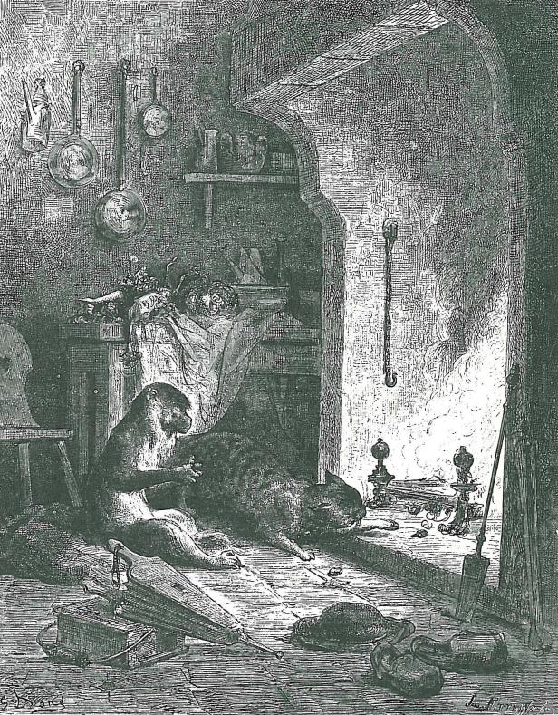 Ein Affe sitzt in einer Küche neben einer Katze am Kamin.