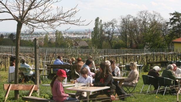 Menschen sitzen an Tischen im Freien in einem Weinberg mit Blick auf die Stadt.